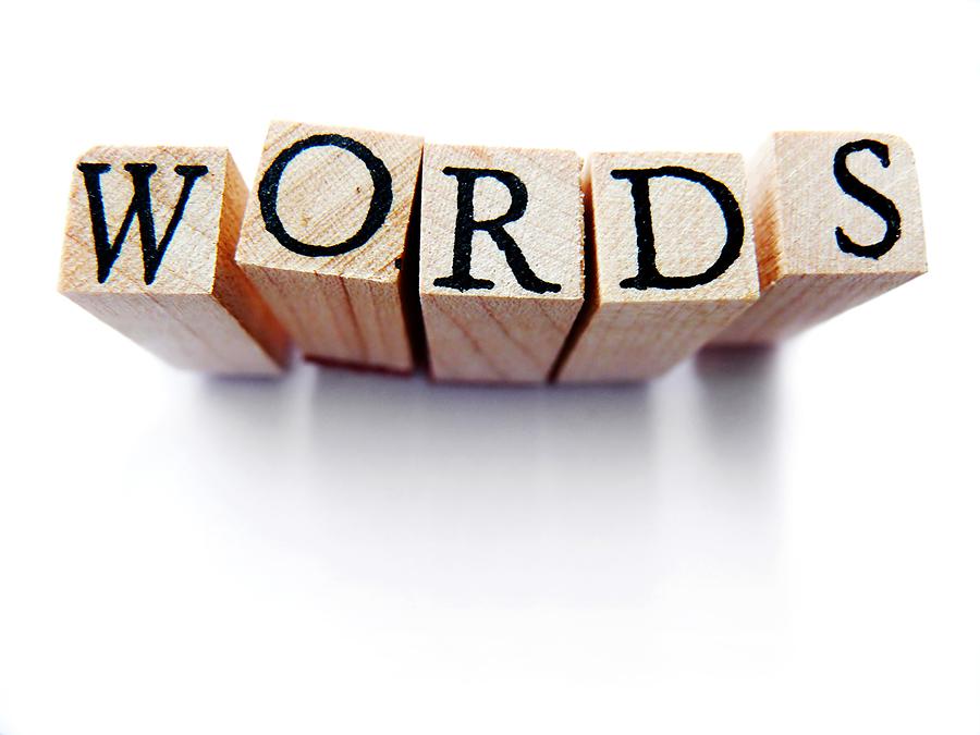Wooden letter blocks spelling WORDS